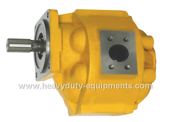 Trung Quốc Hydraulic oil pump 1010000019 for Zoomlion crane with warranty nhà cung cấp